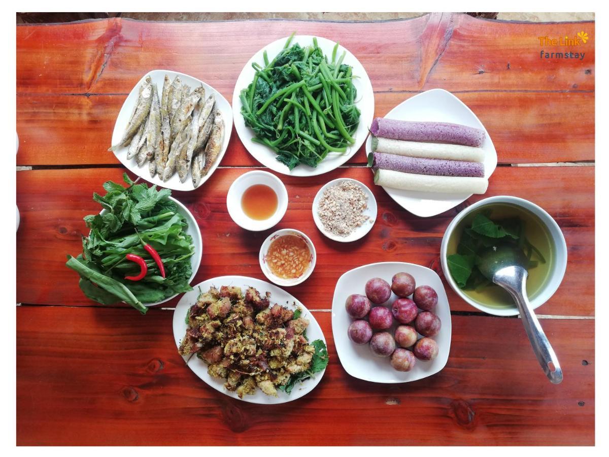 The Link Farmstay Sapa Bagian luar foto